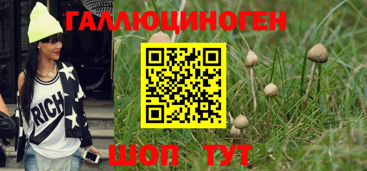 Псилоцибиновые грибы ЛСД  Галлюциногенные грибы прущие грибы  Семилуки  Вход с VPN 